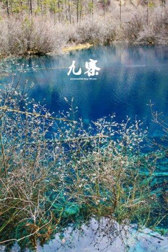 天天炫斗